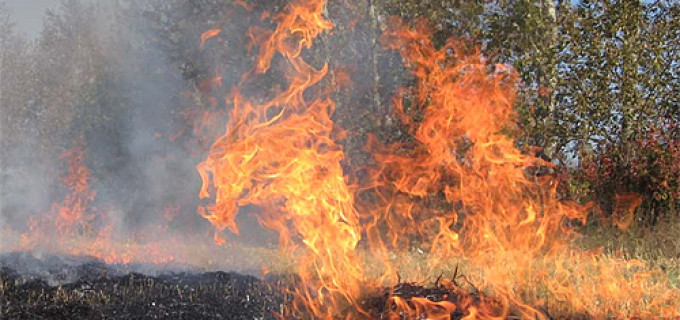 Arderea vegetației uscate poate să vă aducă amenzi mari!