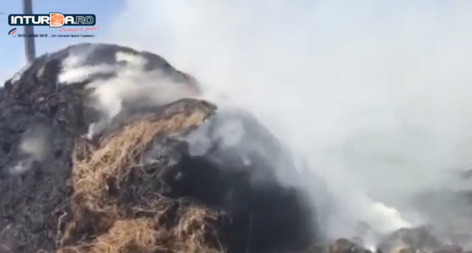 VIDEO: Incendiu la Câmpia Turzii. Deasupra flăcărilor se află linii de curent de înaltă tensiune!