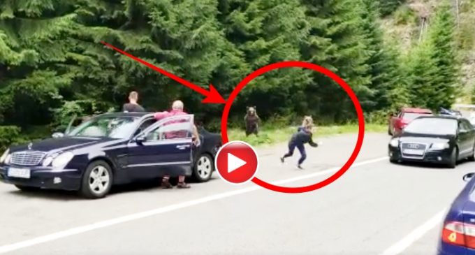 VIDEO: O femeie a fost aproape să fie sfâșiată de ursul pe care îl fotografia