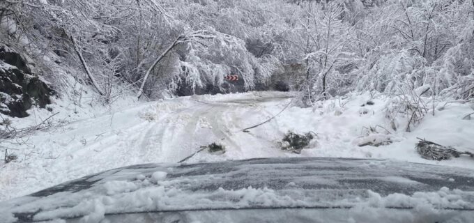 Stațiunea Muntele Băișorii afectată de zăpada abundentă. Copaci căzuți pe drum și pană de curent în stațiune.