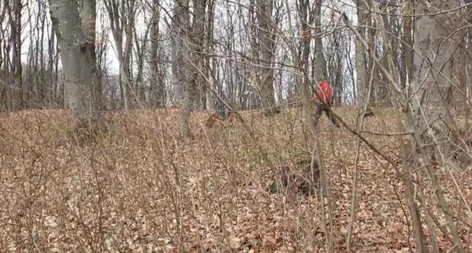Un tânăr IT-ist găsit mort într-o pădure de lângă Casele Micești